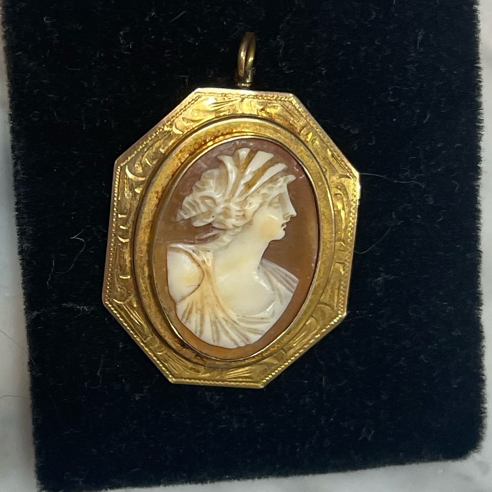 COPY - RARE Vintage Cameo pin and/or pendant